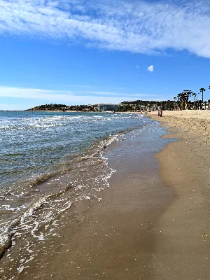  La Pineda is its beautiful beach