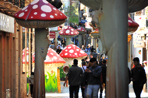 
El Carrer dels Bolets, or Mushroom Street