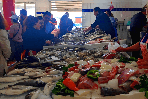Costa Nova The fresh fish market
