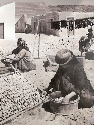 The Nazaré fisherwomen known as varinas