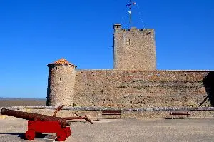 Historical Charm Fort Vauban Fouras