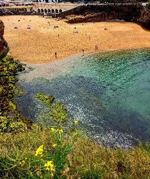 Sun-Kissed Shores Biarritz