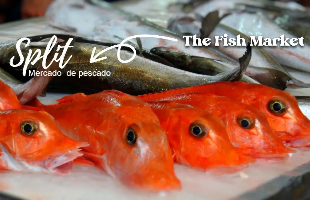 Split Fish Market - For The Love of Art Food and Travel